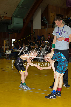 528 17  0120 IMG_8515