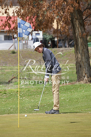 550 17  0419 IMG_0772