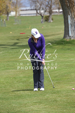 550 17  0419 IMG_0785