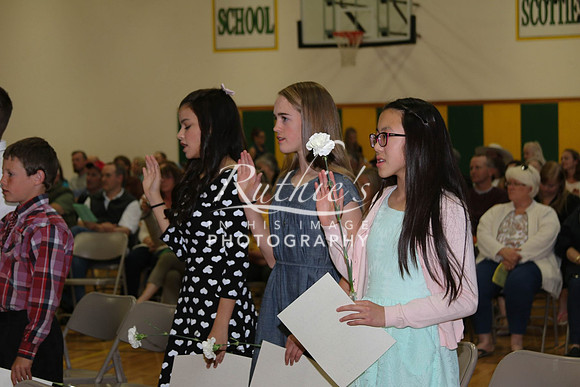 321 15 0506 IMG_0519
