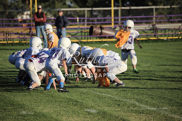238 14 1007  IMG_1584