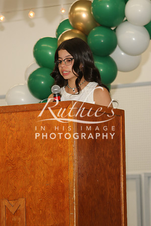 IMG_4474 133 22 0601