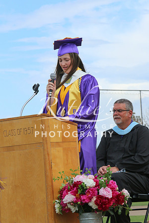 IMG_4403  242 23 0527