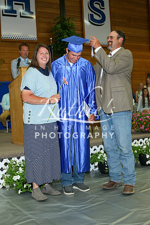 IMG_3918  239 23 0520