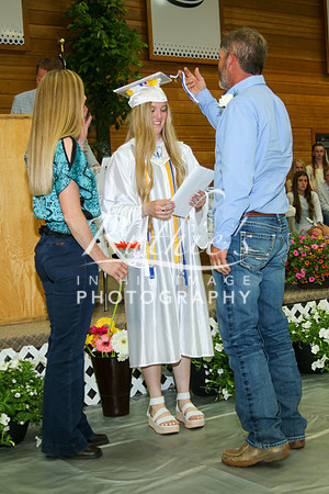 IMG_3962-2  239 23 0520