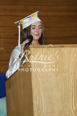 IMG_3875  239 23 0520