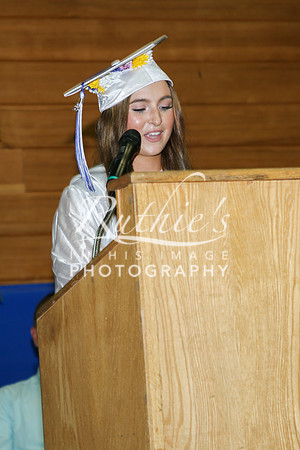 IMG_3879  239 23 0520