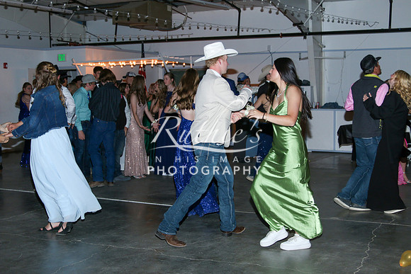 IMG_2342  228 23 0506
