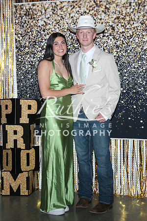 IMG_2395  228 23 0506
