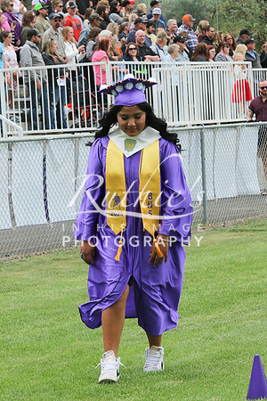 IMG_4322  242 23 0527
