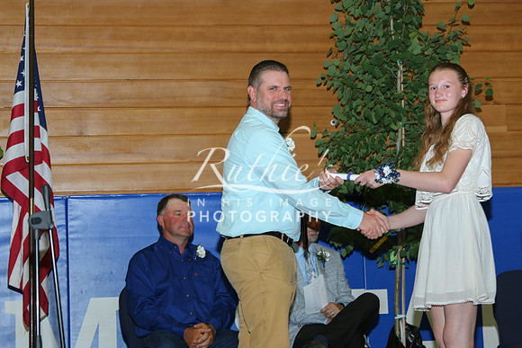 IMG_3862-2  239 23 0520