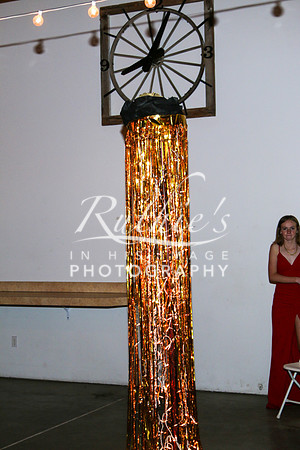 IMG_2232  228 23 0506