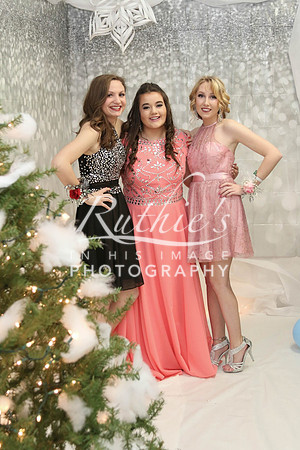 527 17  0119 IMG_7924