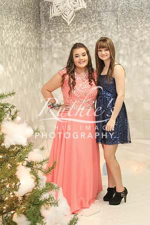 527 17  0119 IMG_7955