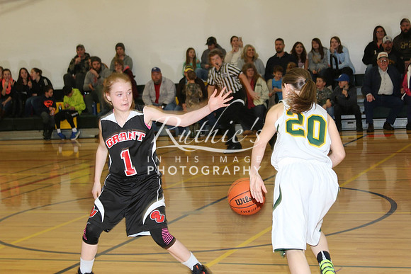 533 17  0202 IMG_9686