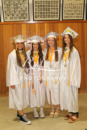 IMG_4120 132 22 0528