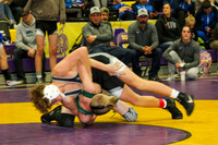 IMG_7844  328 23 1229