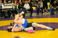 IMG_7849  328 23 1229