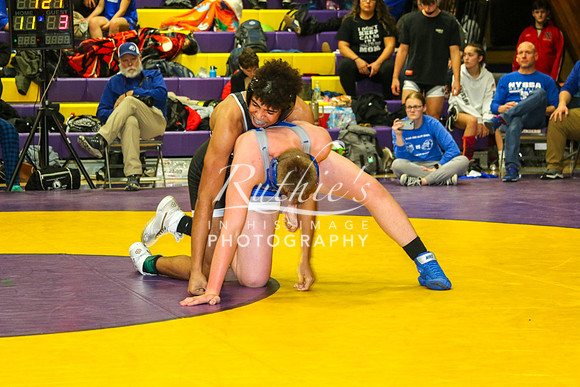 IMG_8005  328 23 1229