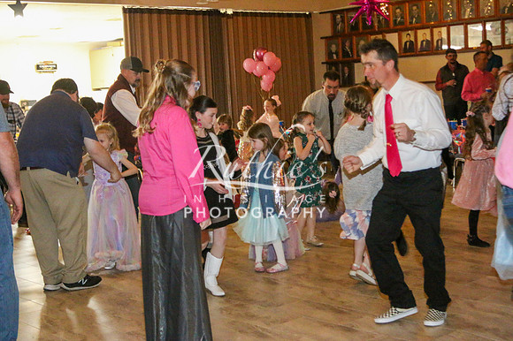 IMG_8738  341 24 0224