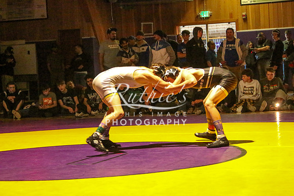 IMG_8524  346 24 0220