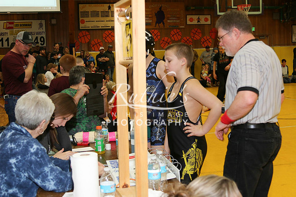 528 17  0120 IMG_8614