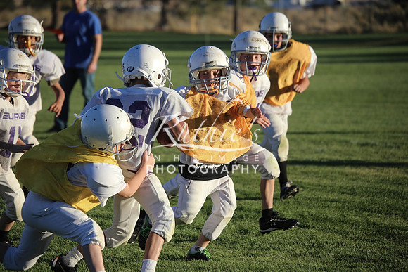 238 14 1007  IMG_1588