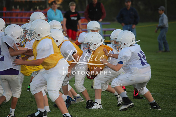 238 14 1007  IMG_1639