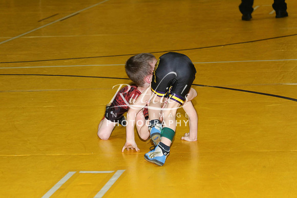 528 17  0120 IMG_8594