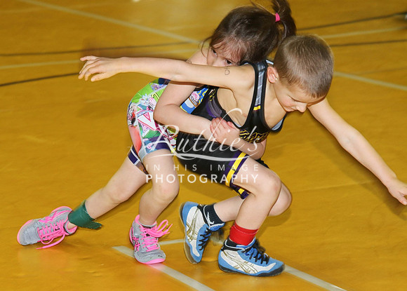 528 17  0120 IMG_8674-2