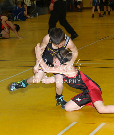 528 17  0120 IMG_8495-2