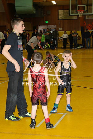528 17  0120 IMG_8587