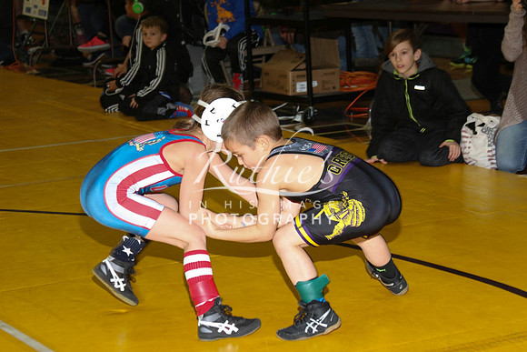 528 17  0120 IMG_8374
