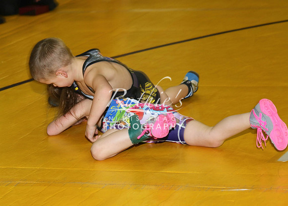 528 17  0120 IMG_8681-2